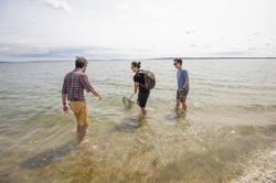 students wade in the bay with a net for collecting fishes