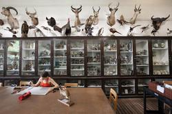 A Student Sketching in the Nature Lab at R I S D